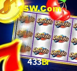 Login Seguro 433Br